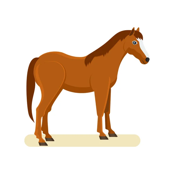 Brown horse isolated on white background. — Stock Vector