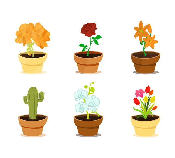 Diferentes tipos de flores hermosas, decorativas y modernas en macetas de arcilla . — Vector de stock