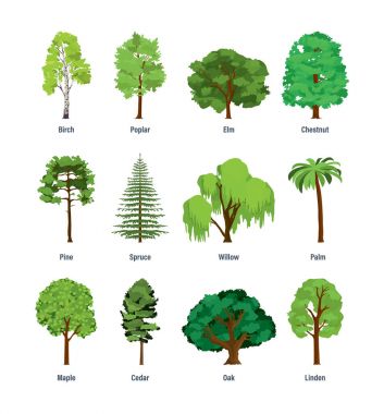 Collection of different kinds of trees. clipart