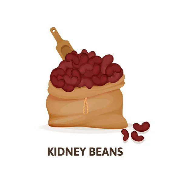 Beutel mit roten Bohnen Kultur, Kochlöffel, Pflanze, landwirtschaftliche Ernte. — Stockvektor