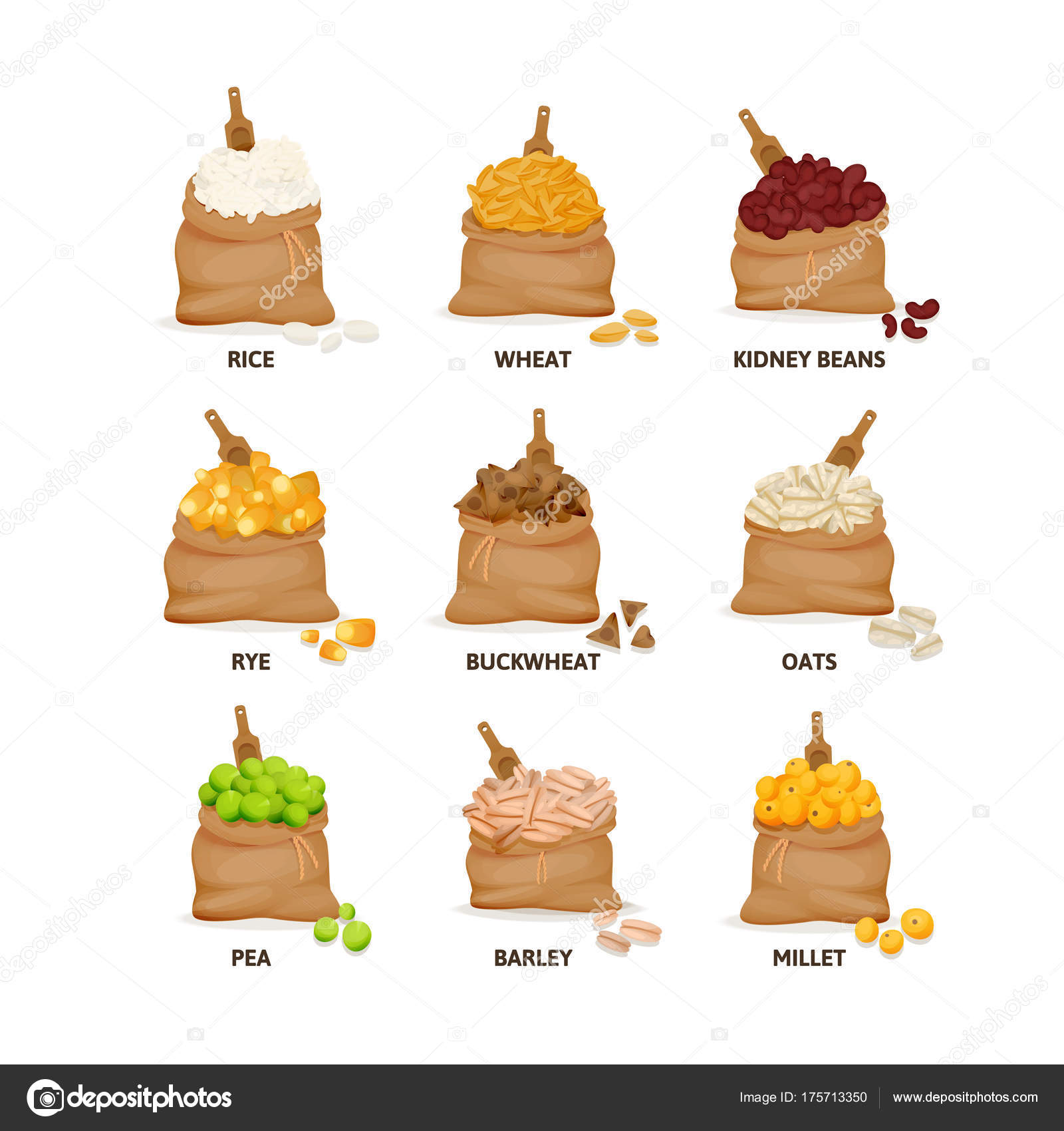 ᐈ Kidney Beans Clip Art Stock Cliparts Royalty Free Kidney Beans Illustrations Download On Depositphotos