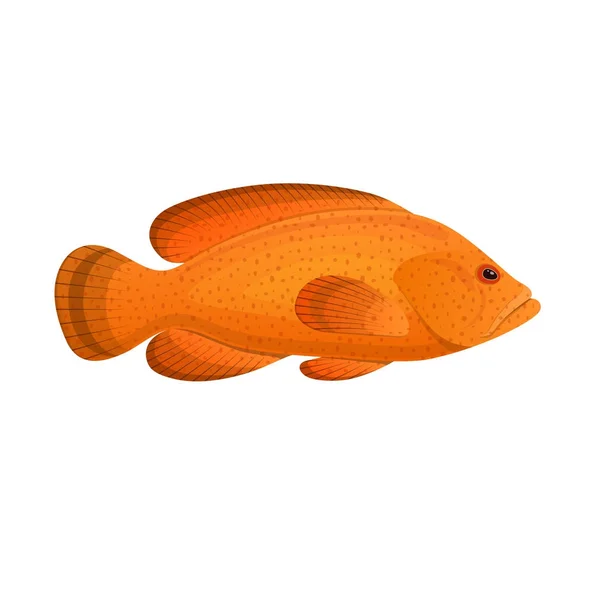 Fish grouper spotted. Colorful sea fish, swimming on sea bottom. — Stock Vector