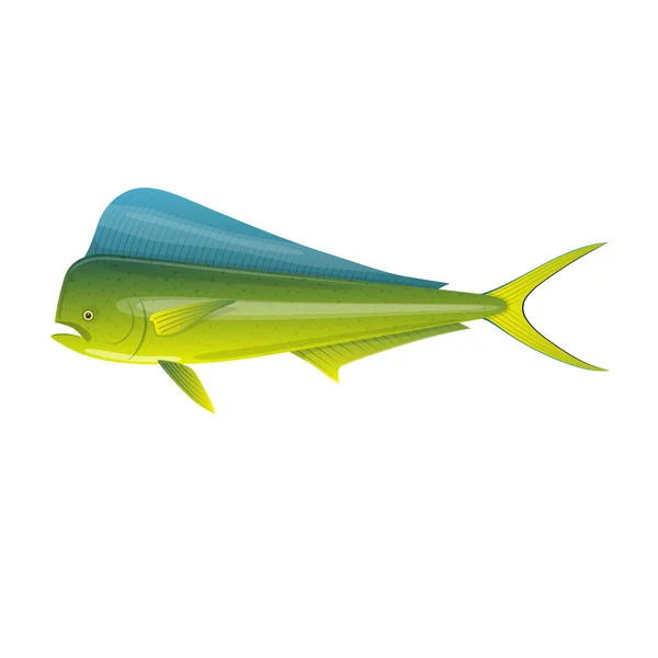 Peixe marinho. Peixe-marinho bonito e colorido Dorado Mahi-Mahi . — Vetor de Stock
