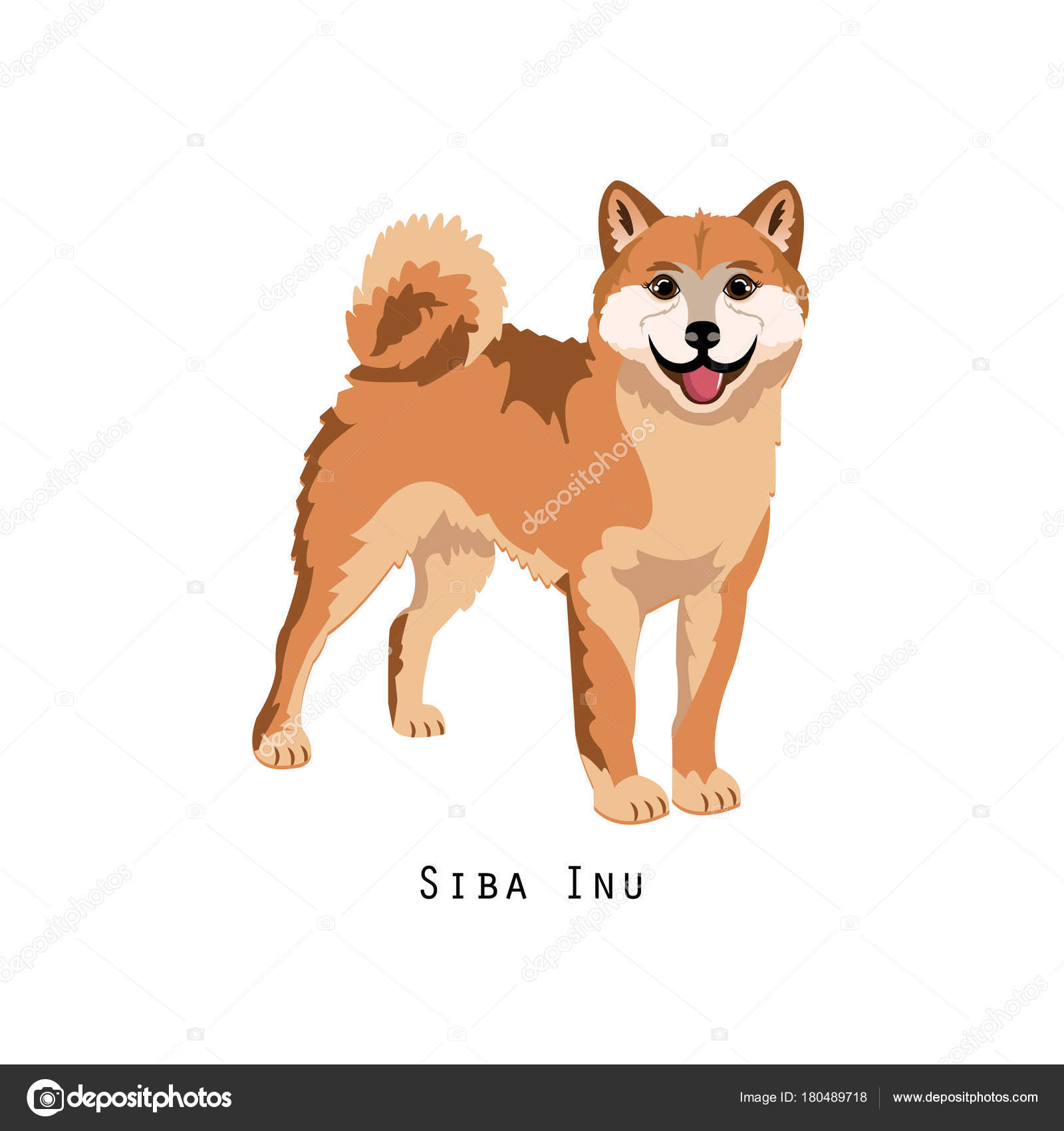 Furry Human Friend Home Animal And Decorative Dog Shiba