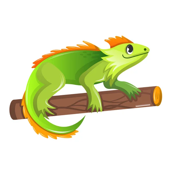 Beautiful funny cartoon green iguana sitting on a tree. — Stock Vector