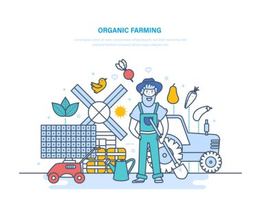 Tarım, Bahçecilik Organik. Bitkiler, organik temiz ekolojik ürünler arasında çiftçi.