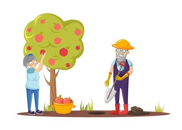 Gamle man gräver jord med spade, gammal kvinna plockar äpplen från träd. — Stock vektor