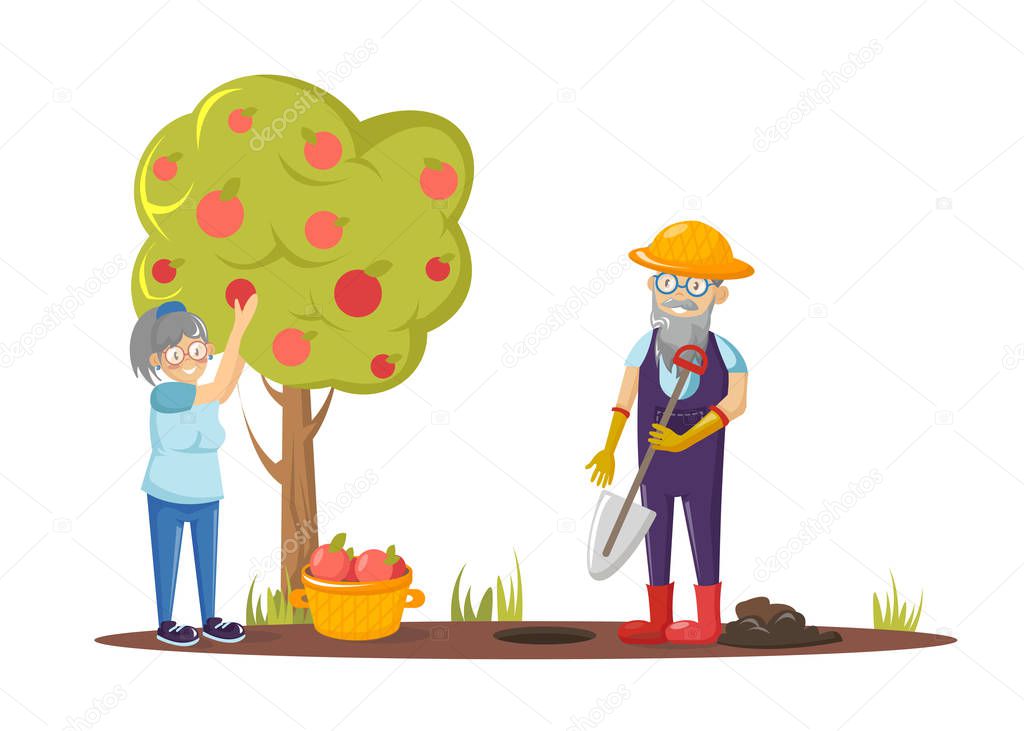 Old man digging soil with shovel, old woman picks apples from tree.