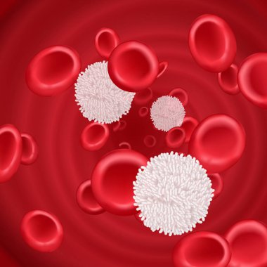 Kan plazma vektöründe hemoglobin ve beyaz kan hücreleri lenfositleri
