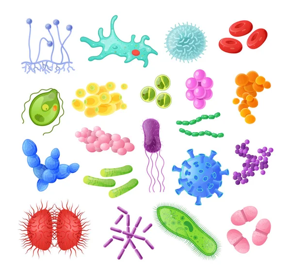 Mikroorganism, bakterier, virusceller, baciller, sjukdomsbakterier och svampceller. — Stock vektor