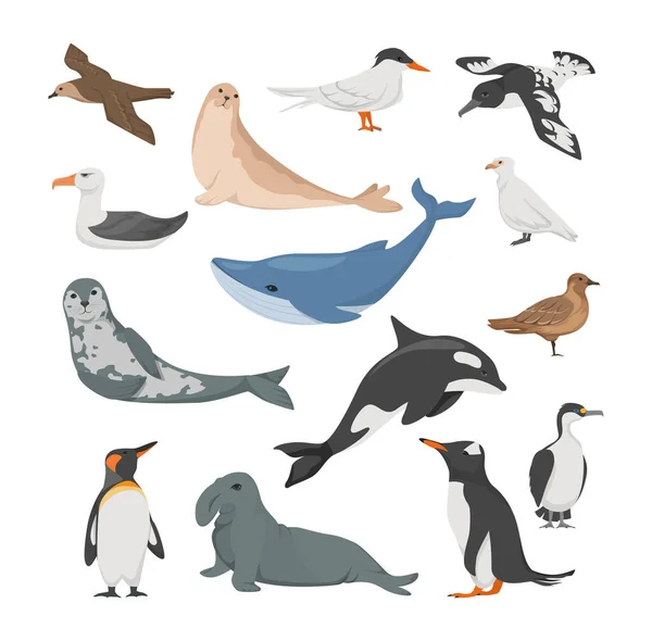 Flora Antártica. Animales, aves y vida marina . — Vector de stock