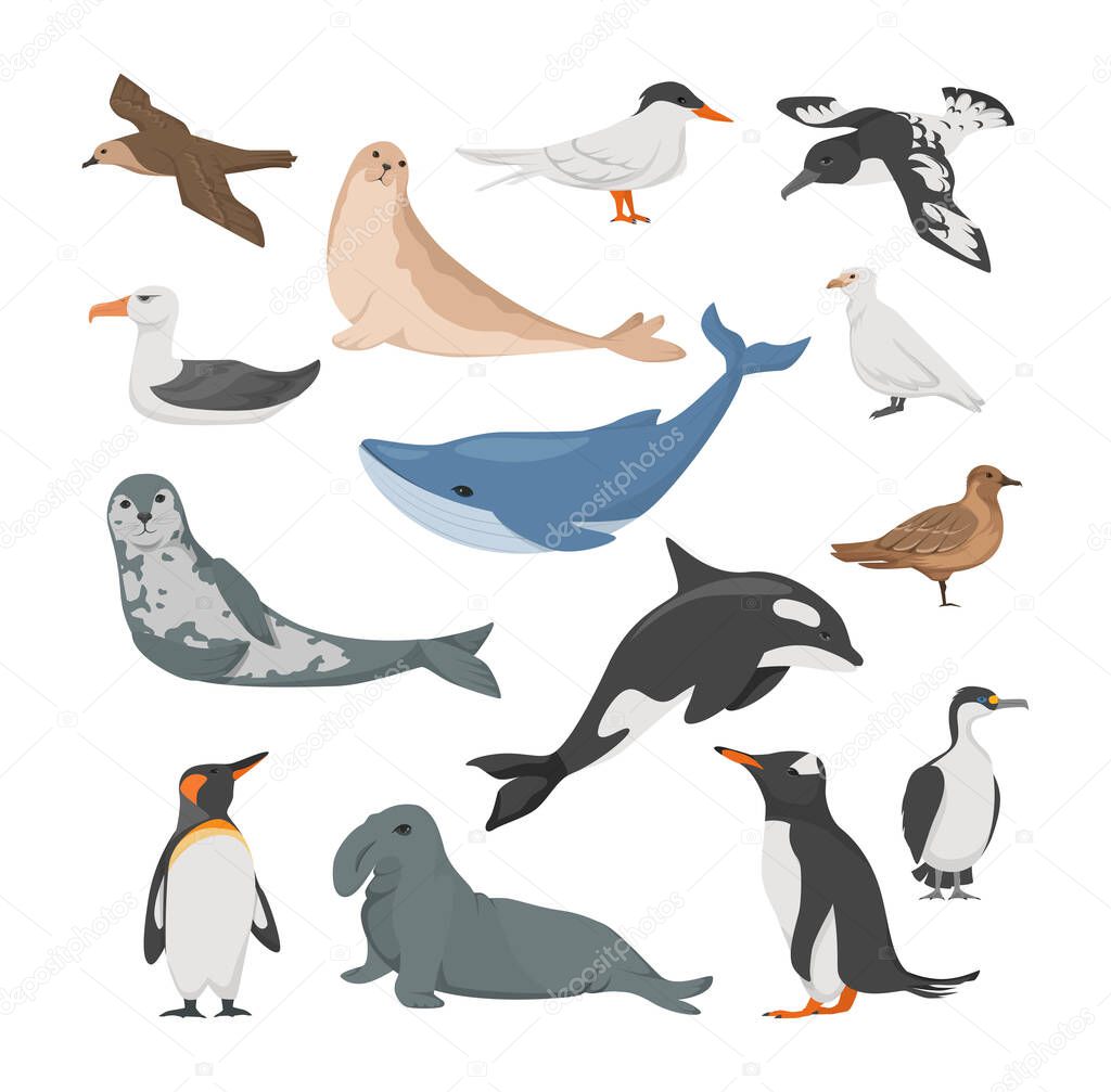 Antarctica flora. Animals, birds and sea life.
