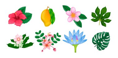 Tropikal çiçekler ve yaprak toplama vektörü izole