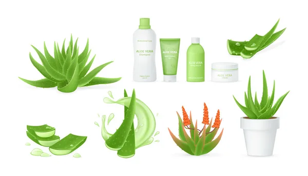 Aloe vera realistic set with fresh drops of water — Stock Vector