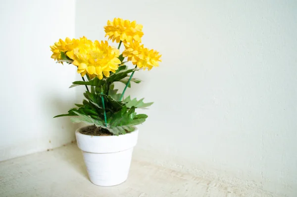 Beyaz vazoda ayçiçeği sentezi