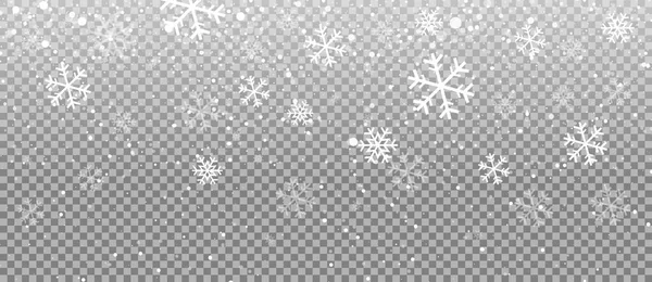 Snow Realistic Snow Overlay Background Snowfall Snowflakes Different Shapes Forms — Stock Vector