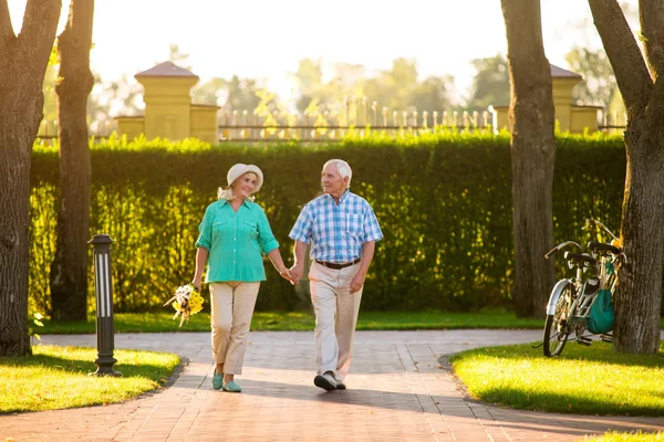 Äldre par promenader på gränden. — Stockfoto