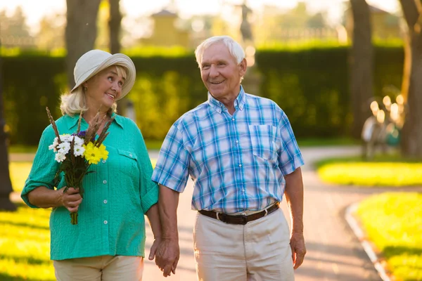 Bejaarde echtpaar op park achtergrond. — Stockfoto