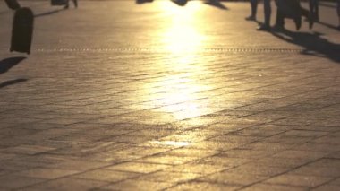 Paten hüner yavaş hareket.