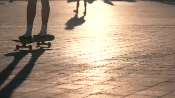 Benen op skateboard in beweging. — Stockvideo