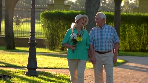 Seniorenpaar über Natur-Hintergrund. — Stockvideo