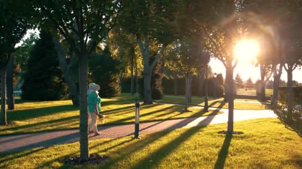 Paar wandelen in de buurt van bomen. — Stockvideo