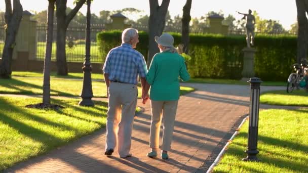 Senior couple walking in slo-mo. — Stock Video