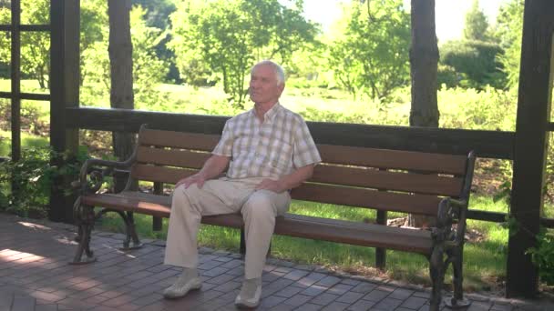Elderly man sitting on bench. — Stock Video