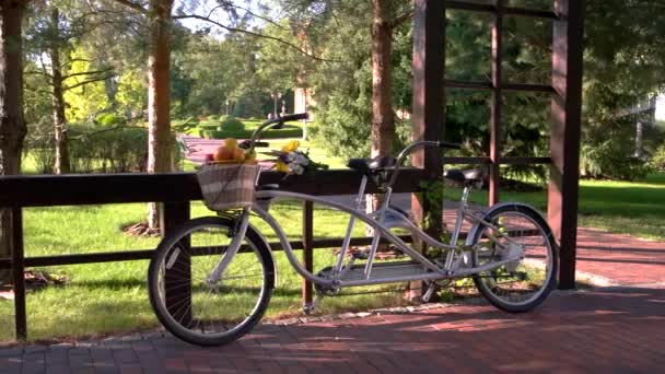 Fiets met mandje met fruit. — Stockvideo