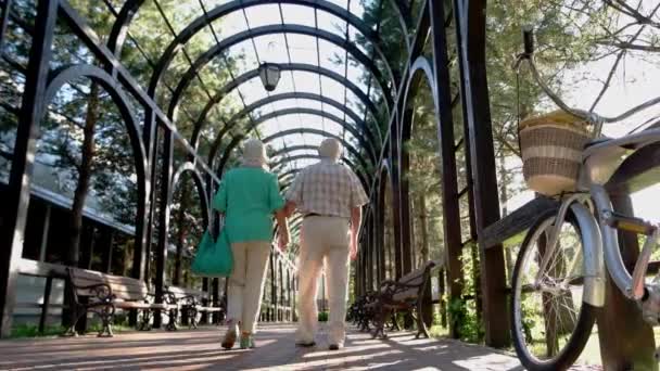 Pareja mayor caminando por el callejón . — Vídeos de Stock