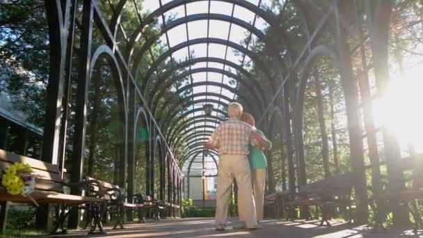 Senior couple dancing. — Stock Video