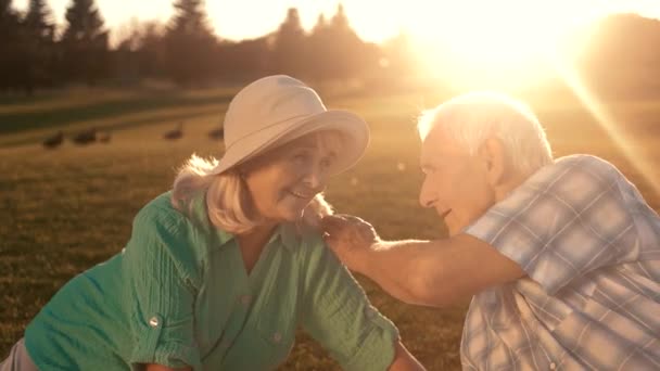 Personnes âgées dans la prairie . — Video