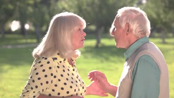 Pasangan senior berdebat . — Stok Video