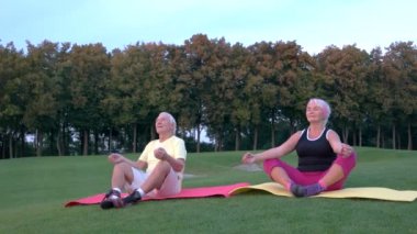 Yaşlı çift yoga yapıyor..