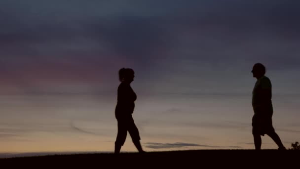 Paar lopen ten opzichte van elkaar. — Stockvideo