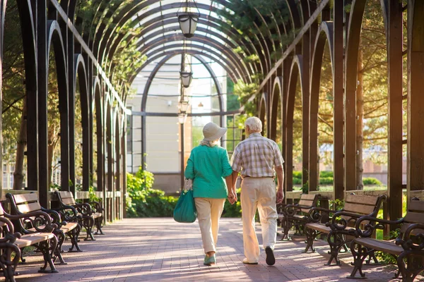 Senior couple walking on alley. — Stock Photo, Image