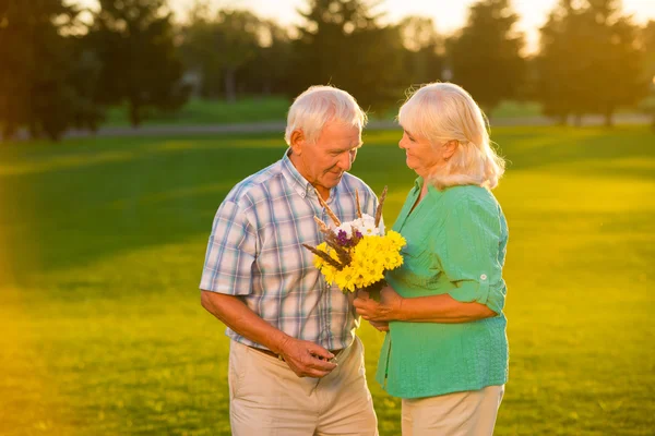 Senior couple on meadow background. — Φωτογραφία Αρχείου