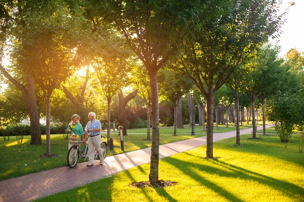 Casal com bicicleta está andando . — Fotografia de Stock