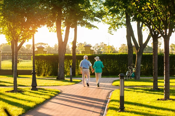 Paar wandelingen in de buurt van bomen. — Stockfoto