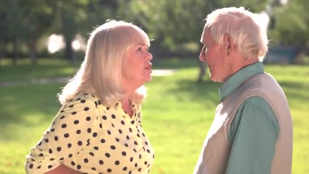 Seniorenpaar streitet. — Stockvideo