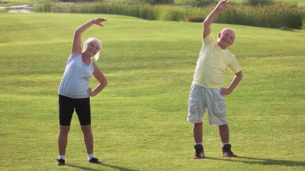 Senior couple doing exercise.