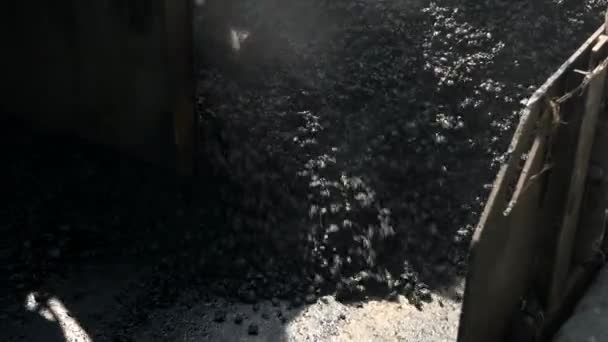 Máquina de assentamento de asfalto . — Vídeo de Stock