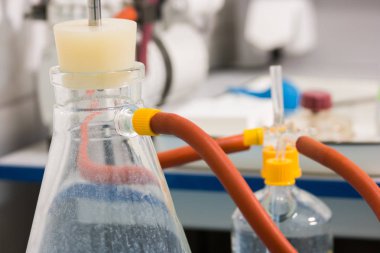 Şişesi üzerinde arka plan bulanık.