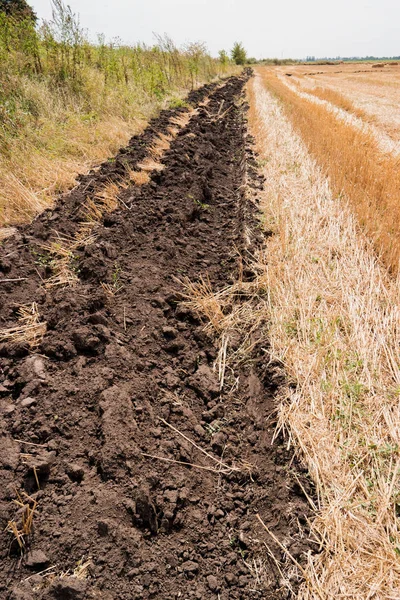 Plowed soil on field. Royalty Free Stock Images