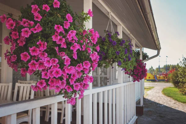 Flowers hanging on the porch.