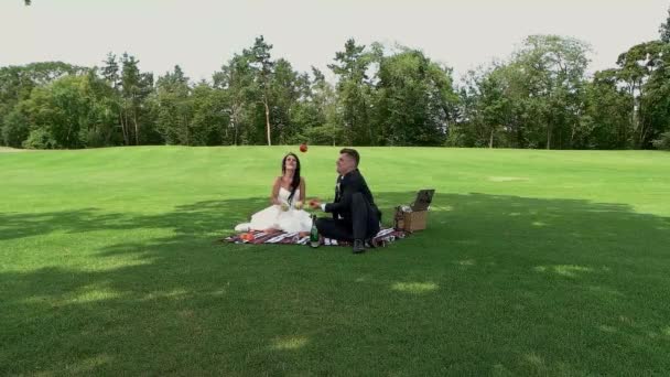 Pareja de boda en el picnic . — Vídeo de stock