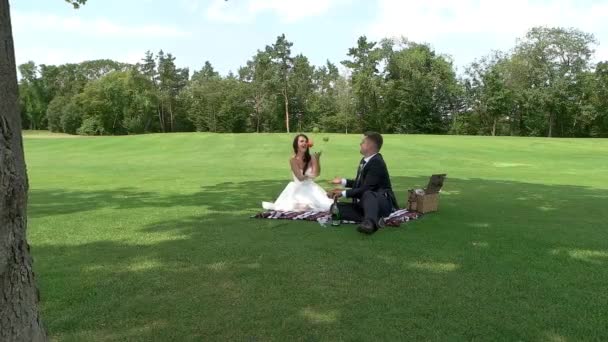 Couple de mariage sur un pique-nique . — Video