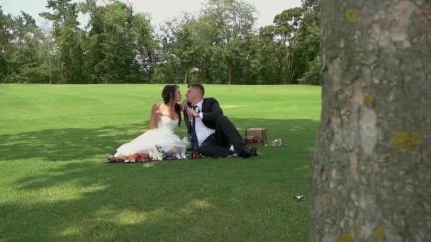 Brudgummen och bruden på picknick. — Stockvideo