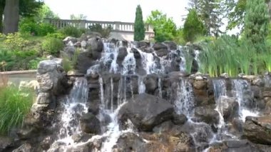 Bitkiler ve küçük şelale.