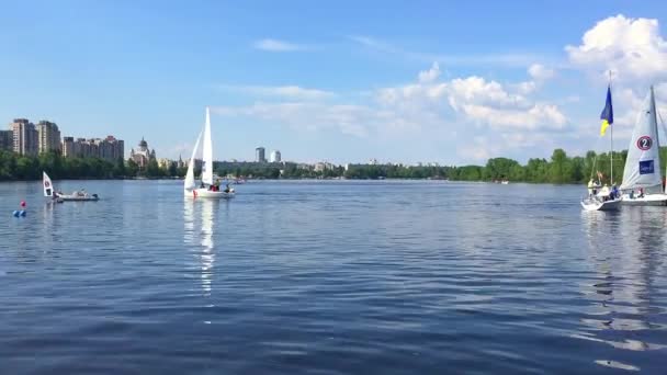 Sail yachts på floden. — Stockvideo